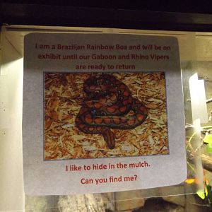 Aquarium and Reptile Center- Brazilian Rainbow Boa Signage