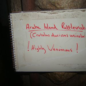 Temporary sign in the Nocturnal House