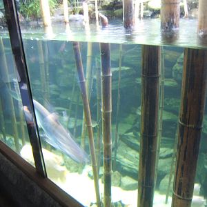 Re-furbed tank in Aquarium