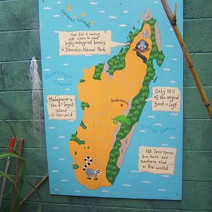 Map in the Lemur walk through