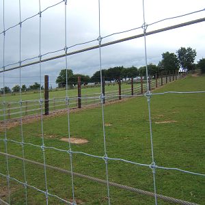 New fence round the White Rhino paddock