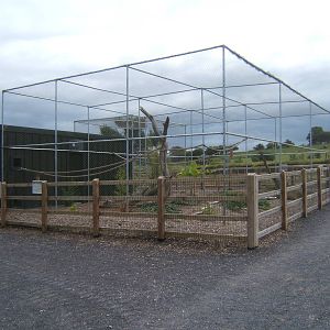 New Amazon and Macaw complex