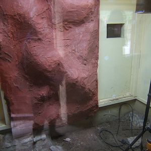 Enclosure being re-furbed for Bredl`s Python