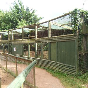 Empty enclosure these will be rebuilt once the road works right at the back