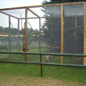 part of the new Marmoset and Tamarin enclosures