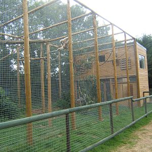 New Gibbon enclosure