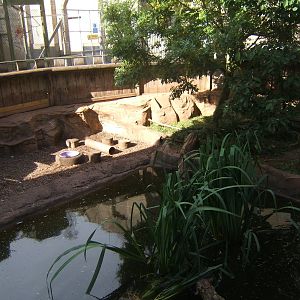 View of ASCO enclosure