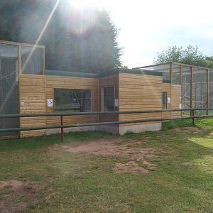 View of new Marmoset and Tamarin complex