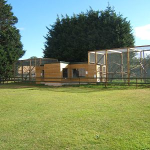 View of new Marmoset and Tamarin complex