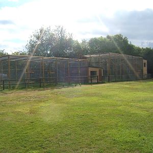 View of new Lemur and Gibbon enclosures