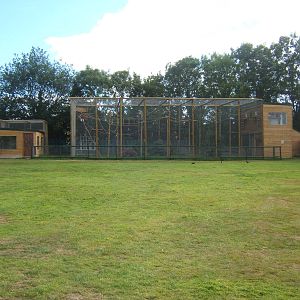 New Lar Gibbon enclosure