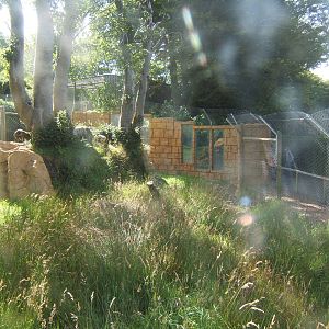 View of under construction European Wolf enclosure
