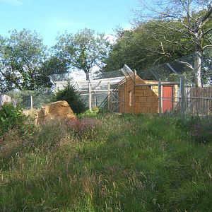 View of under construction European Wolf enclosure