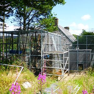 Half-built new enclosure .