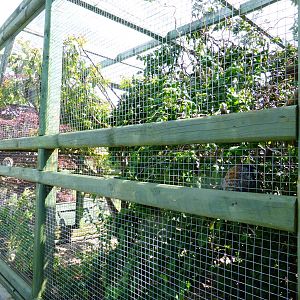 Penycae Inn , South Wales .