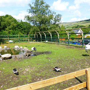 Penycae Inn , South Wales .