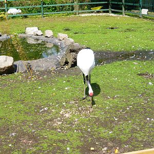 Penycae Inn , South Wales .
