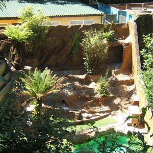 View of the Black-footed Penguin enclosure