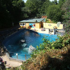View of the Sealion pool