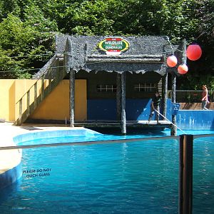 View of the Sealion pool