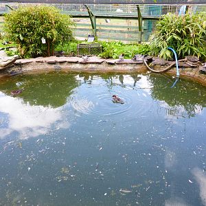 Penycae Inn , South Wales .