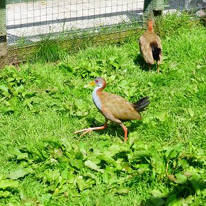 Penycae Inn , South Wales .