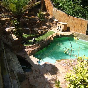 View of Black-footed Penguin enclosure