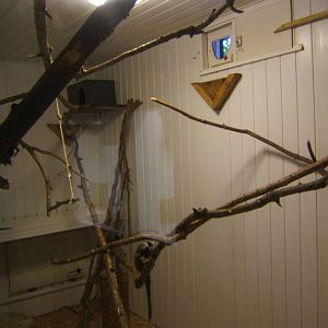 View inside Primate House