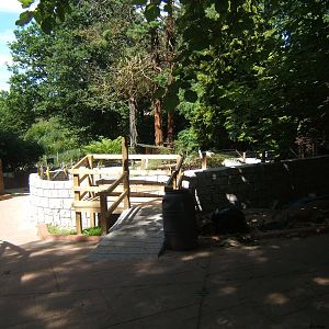 View of new Coati enclosure