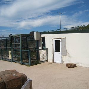 View of Lion House and part of holding cage