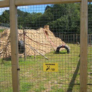View of Hamadryas Baboon enclosure