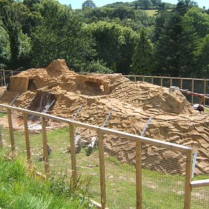 View of Hamadryas Baboon enclosure