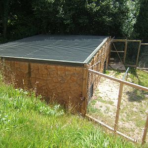 View of Hamadryas Baboon House