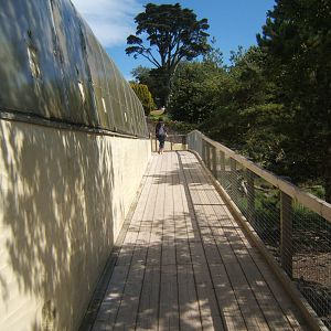 View with Tropical House on left and on the right Porcupine and Meerkat enc