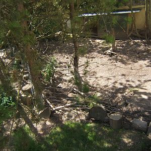 View of part of the Meerkat and Porcupine enclosure