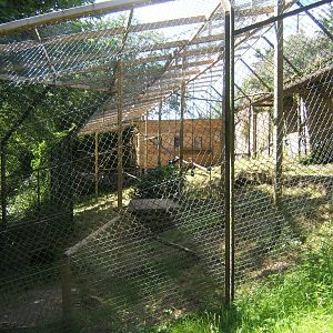 View of empty Macaque enclosure