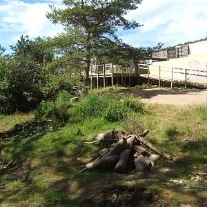 View of part of the Meerkat and Porcupine enclosure