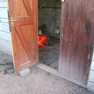 Sulcatta`s in a shed