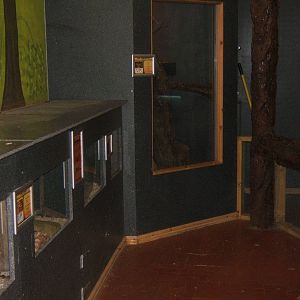View of part of the Reptile encounter room