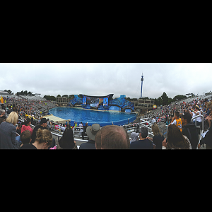 Jun. 2015 - Shamu Stadium