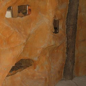 View inside Bug World