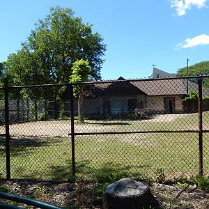 7/31/2015 - Somali Wild Ass Exhibit