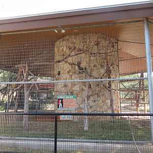Scarlet Macaw/Blue and Gold Macaw Exhibit