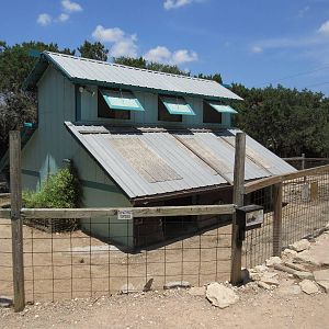 Galapagos Tortoise Exhibit