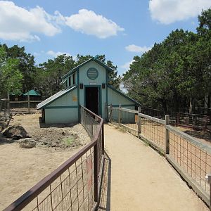 Galapagos Tortoise Exhibit
