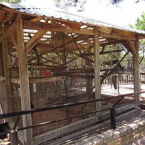 Red Ruffed Lemur Exhibit