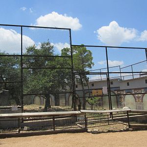 Bengal Tiger Exhibit