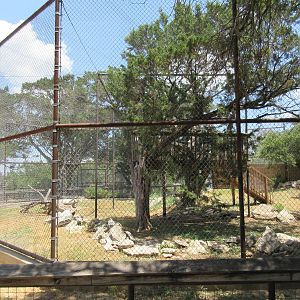 African Leopard Exhibit