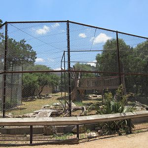 African Leopard Exhibit