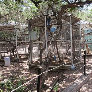 Assorted Aviaries